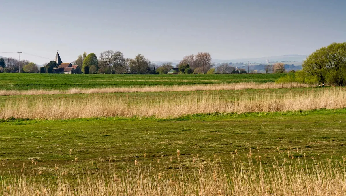 Vita storkar och bävrar tillbaka i östra London: en ny era för ekologisk återställning